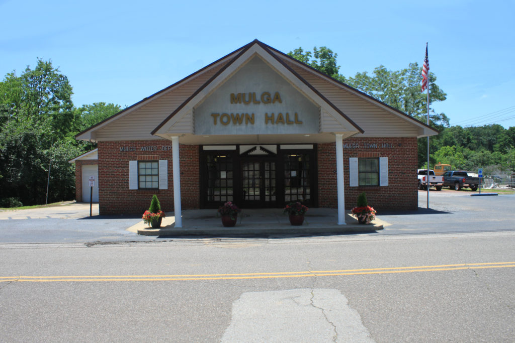 Government for You Town of Mulga